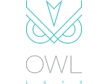 Owl 1975