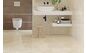 Allore Creto Pulpis Beige 61х31