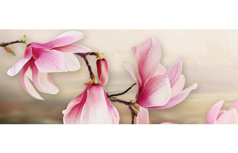 Beryoza Ceramica Мираж серо-розовый Панно 1 50x20